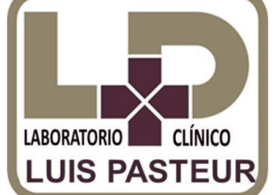 Proyecto Laboratorio Luis Pasteur: Navegando Hacia una Presencia Digital Exitosa