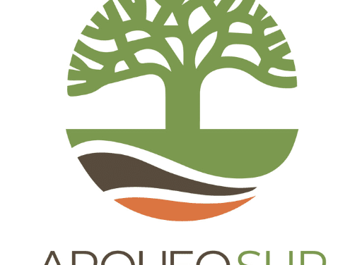 Elevando el Patrimonio Cultural Arqueológico: La Experiencia de ArqueoSur